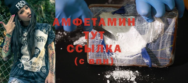 прущие грибы Наволоки