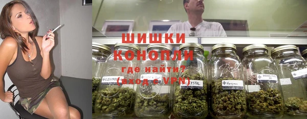 прущие грибы Наволоки