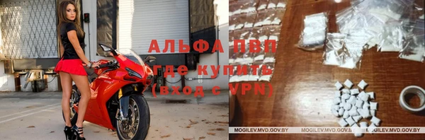 прущие грибы Наволоки