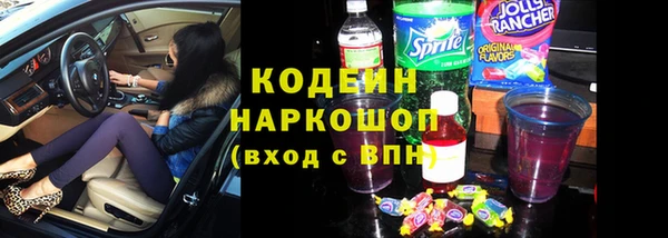 прущие грибы Наволоки